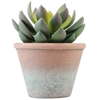 Knstliche Echeveria Sukkulente im Vintage Topf, Grn Lila Gelb, Deko 15cm  | eBay.de
