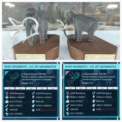 ARK ASCENDED PVE OFFICIAL PAIR BABY MAMMOTH ALBINO #36 TOP STATUS PC/XBOX/PS5