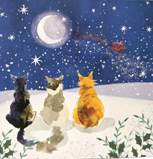 Christmas Cards Cats Protection 2026 Guess Who We Saw pack of 10 and Envelopes