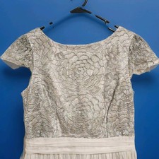 Alex Evenings Embroidered Shimmer Glitter Dress Tulle Flowy Flattering Sz 6