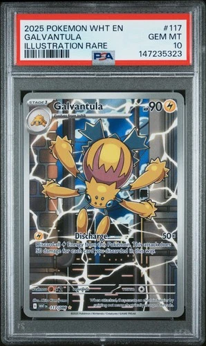 2025 Pokemon Wht En-White Flare #117 Galvantula Illustration Rare PSA 10
