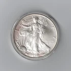 2005 American Silver Eagle Dollar BU Troy Ounce .999 in Plastic Holder