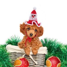 Dog Santa Hat Costume Crocheted Headwear Christmas Party for Pet