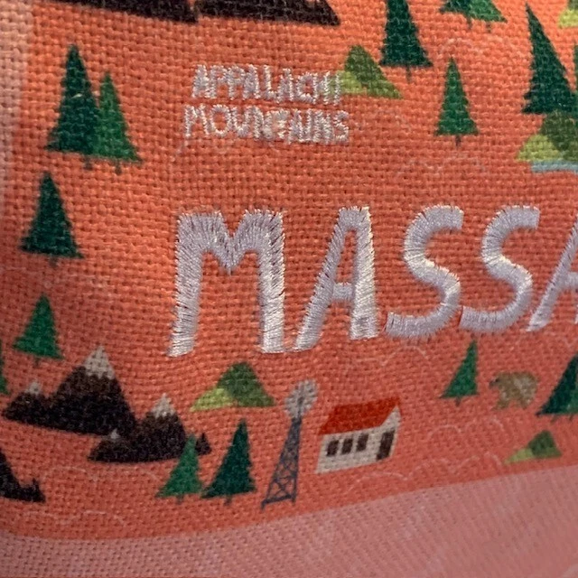 Almohada Boston Mass Massachusetts MA 20" Regalo Medias Rojas Retro Regalo Azul Rosa Foto 4 de 4