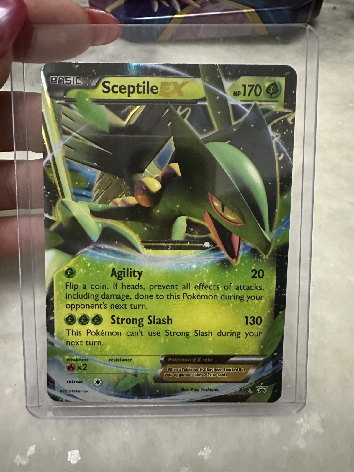 Pokemon TCG Sceptile EX XY53 Black Star Promo Holo Ultra Rare HP170