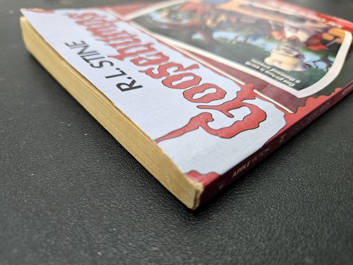 Goosebumps Say Cheese and Die! R. L. Stine 1992, Trade Paperback #4 28th Print - Foto 6 di 8