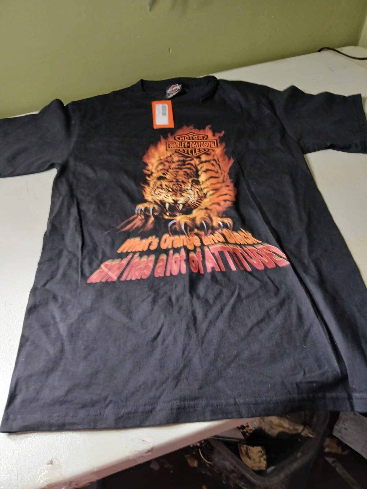 Picture 4 of 18