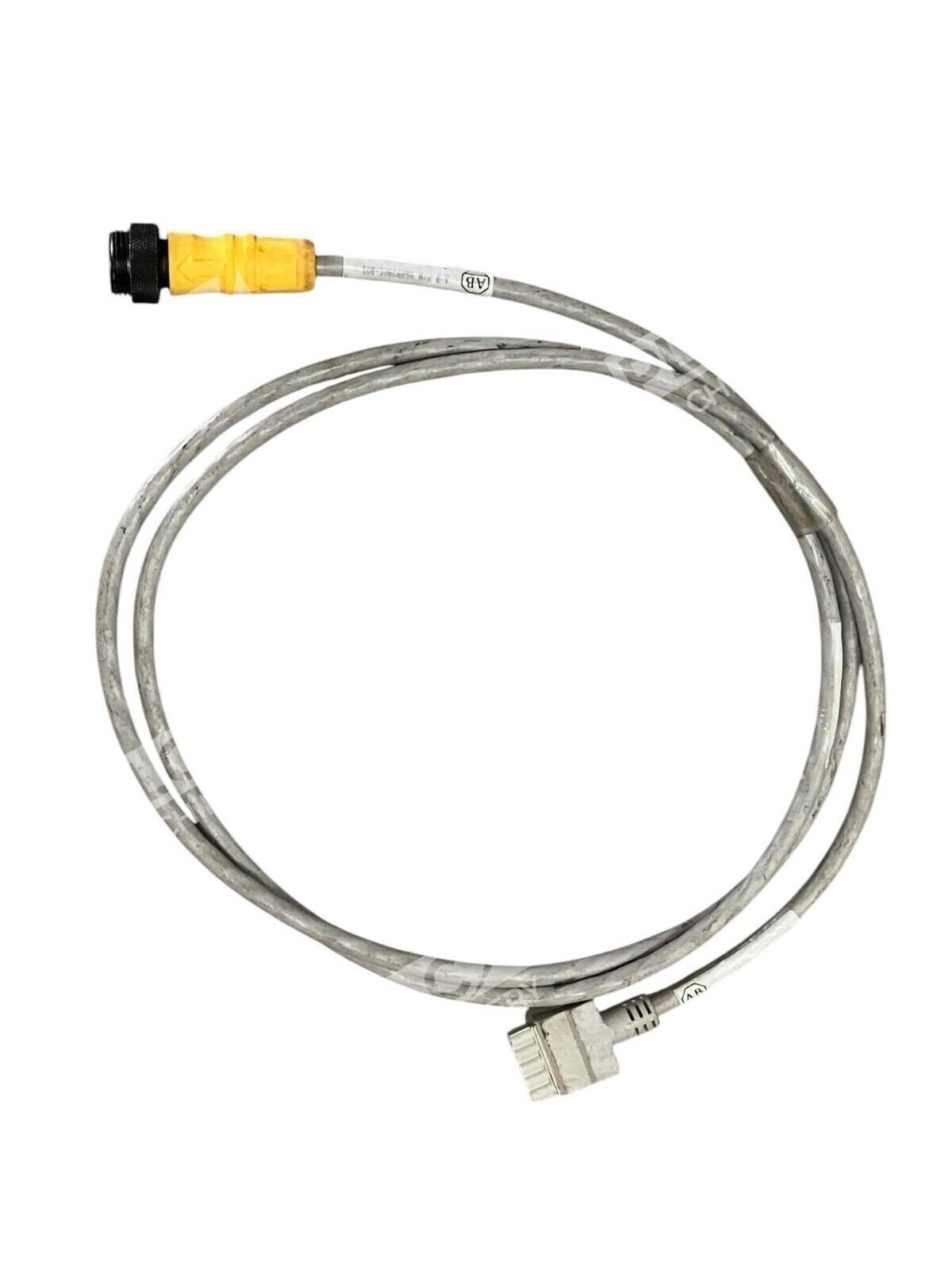 Allen Bradley 96893901-B01 6' Cable Rockwell Automation Industrial Cable