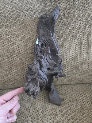 DRIFTWOOD MOPANI AQUARIUMS FISH REPTILES ART PET SUPPLIES GARDEN AQUASCAPING