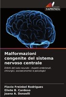 Malformazioni Congenite Del Sistema Nervoso Centrale Flavio Freinkel Rodrigues