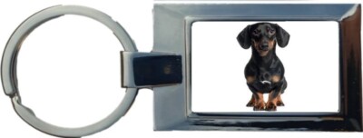 Black Dachshund Dog Pet Luxury Rectangle Shaped Metal Keyring In A Giftbox