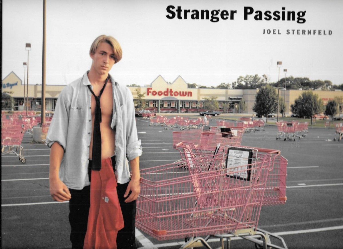 Stranger Passing by Joel Sternfeld 2001 1st Edition Paperback | eBay