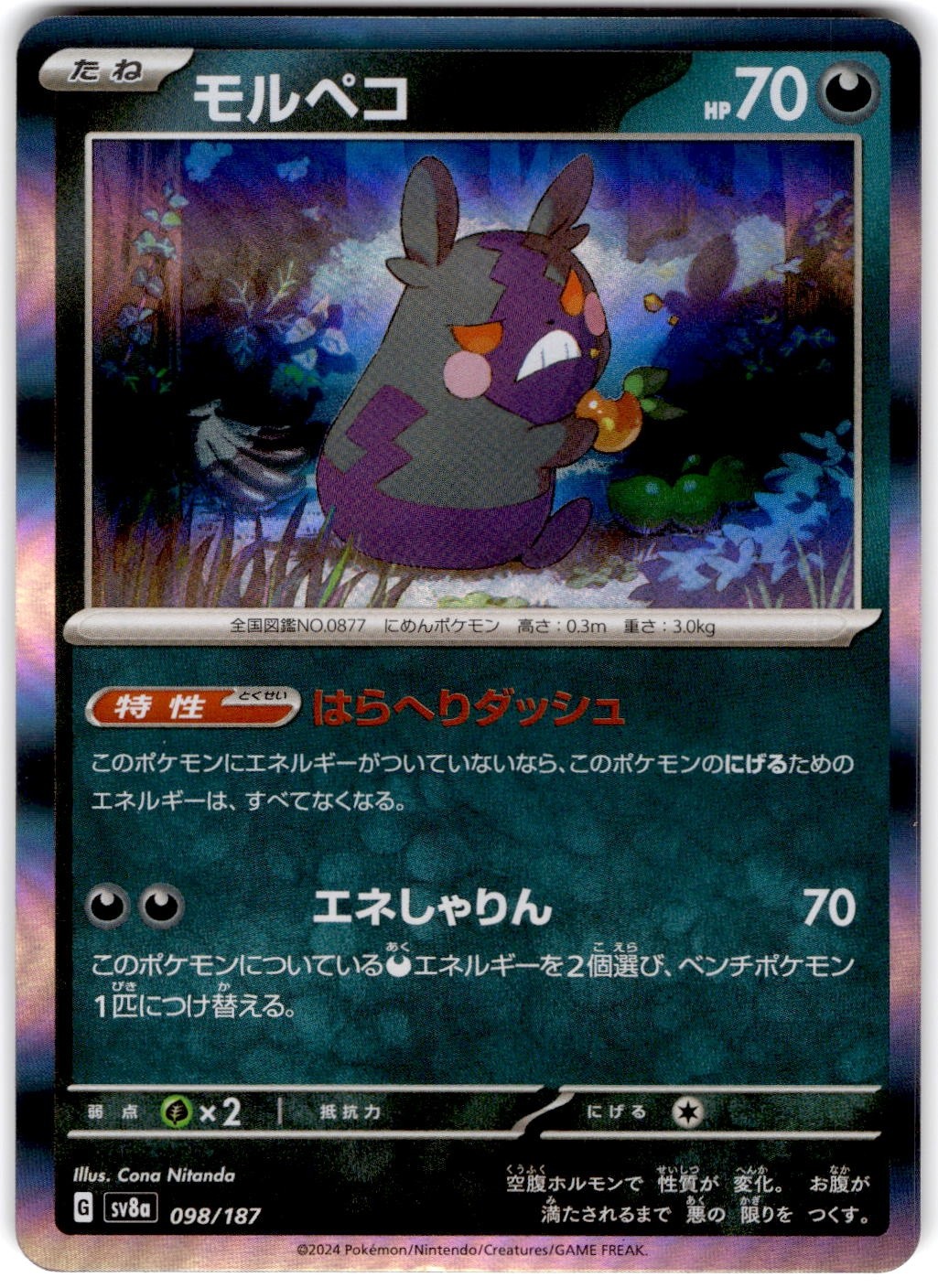 Pokemon Morpeko Terastal Fest ex #98 Normal Holo Japanese
