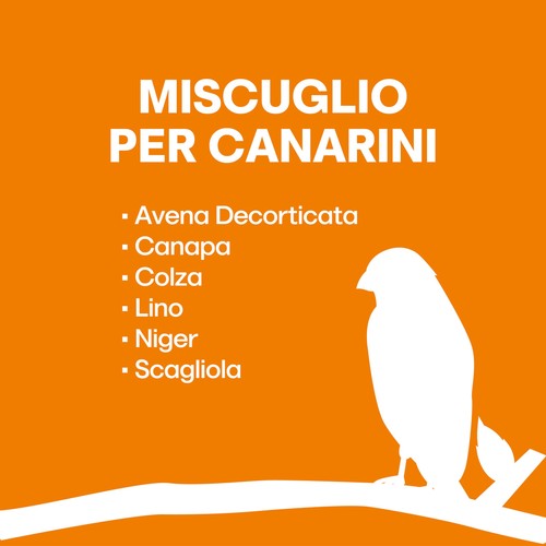 MISCUGLIO per CANARINI Formula Ricca di Semi Selezionati Adatta per Tutto L Anno - Foto 4 di 24