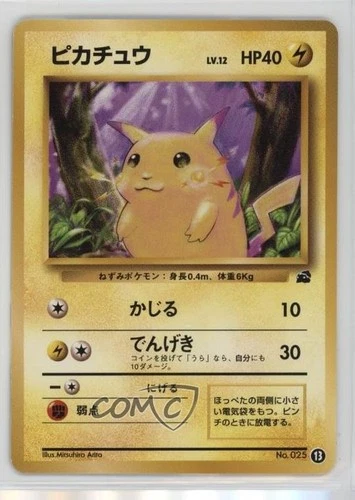 Pikachu Japanese Pokemon Intro Pack: Bulbasaur #13 1999