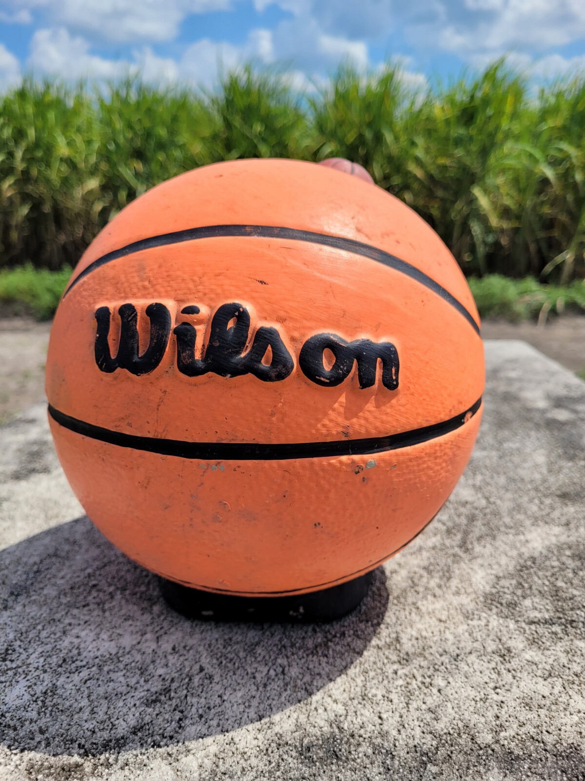 Micheal Jordan piggy bank eBay