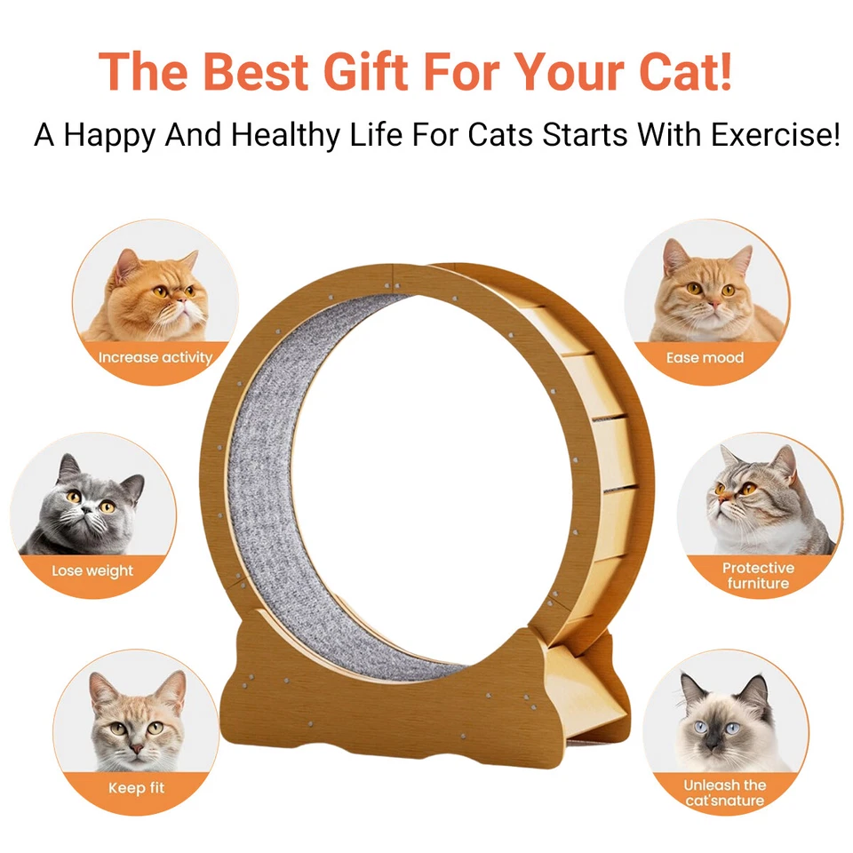 Advanced Cat Treadmill Wheel Quiet Durable Indoor Exercise Solution for Cats AU - image 3 of 4