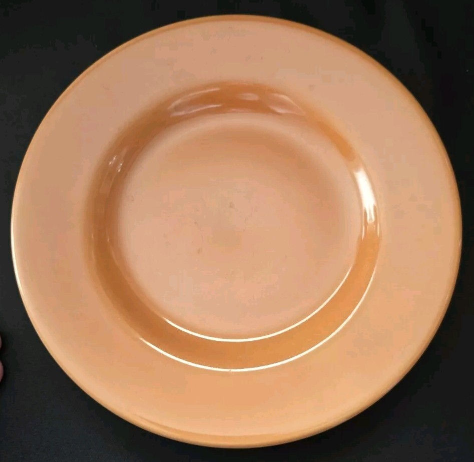 Set of 2 Pier 1 Bohemian Rust Orange 8-Inch Salad Plates