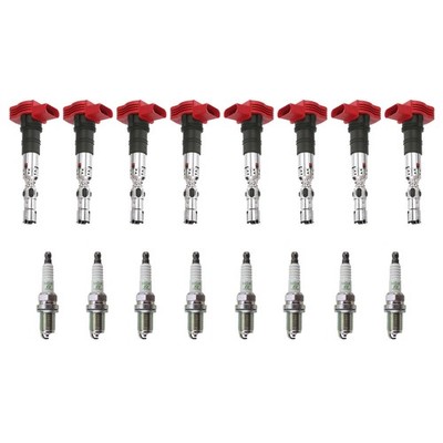Eldor 8 Ignition Coils NGK V-Power Spark Plugs Kit for Audi Volkswagen 4.2L