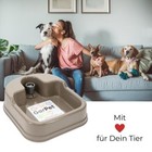 Bild 6 von 6
