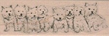 Eight Westies In A Row 1 3/4 x 4 3/4" Rubber Stamp, Dog Stamp, Dog Lover Stamp