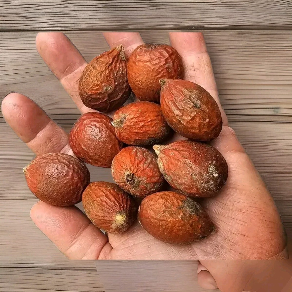 https://i.ebayimg.com/images/g/LbAAAOSwGCFm4FKZ/s-l1200.jpg