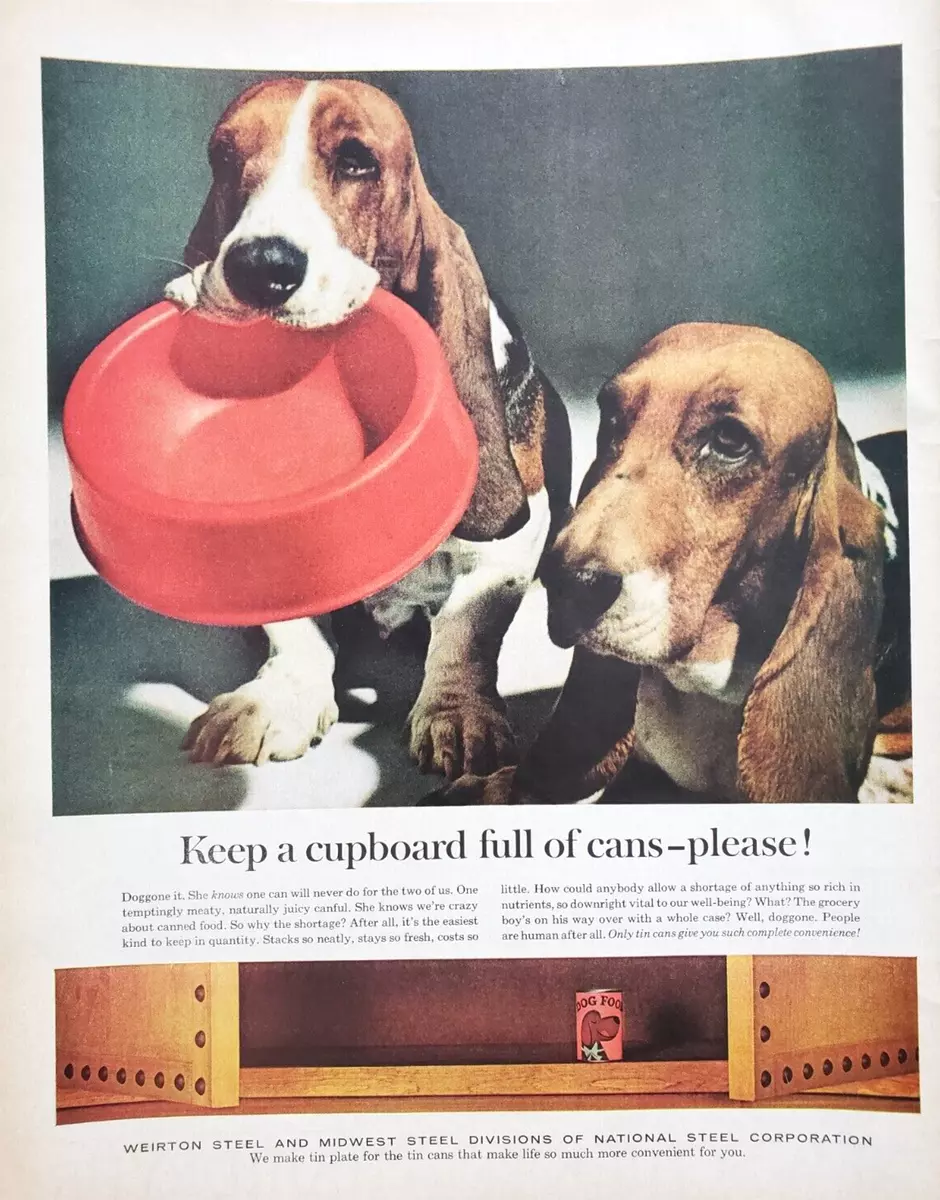 Basset hound cheap food bowls