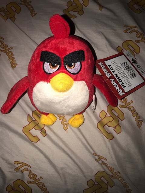 terence plush