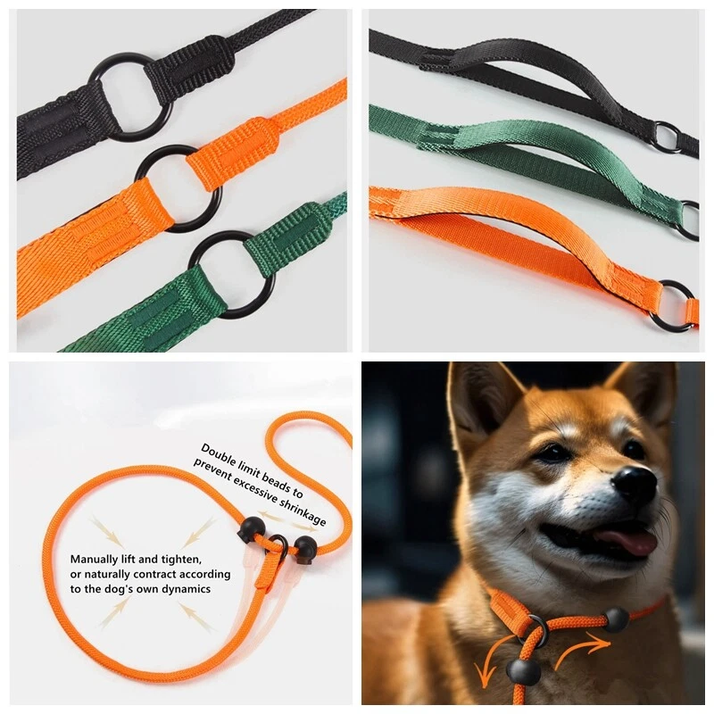 66in Slip Lead Dog Leashs Nylon Rolled Rope Pet Collar Obedience Recall Training