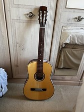 Rosetti Serenader Classic Acoustic  Guitar