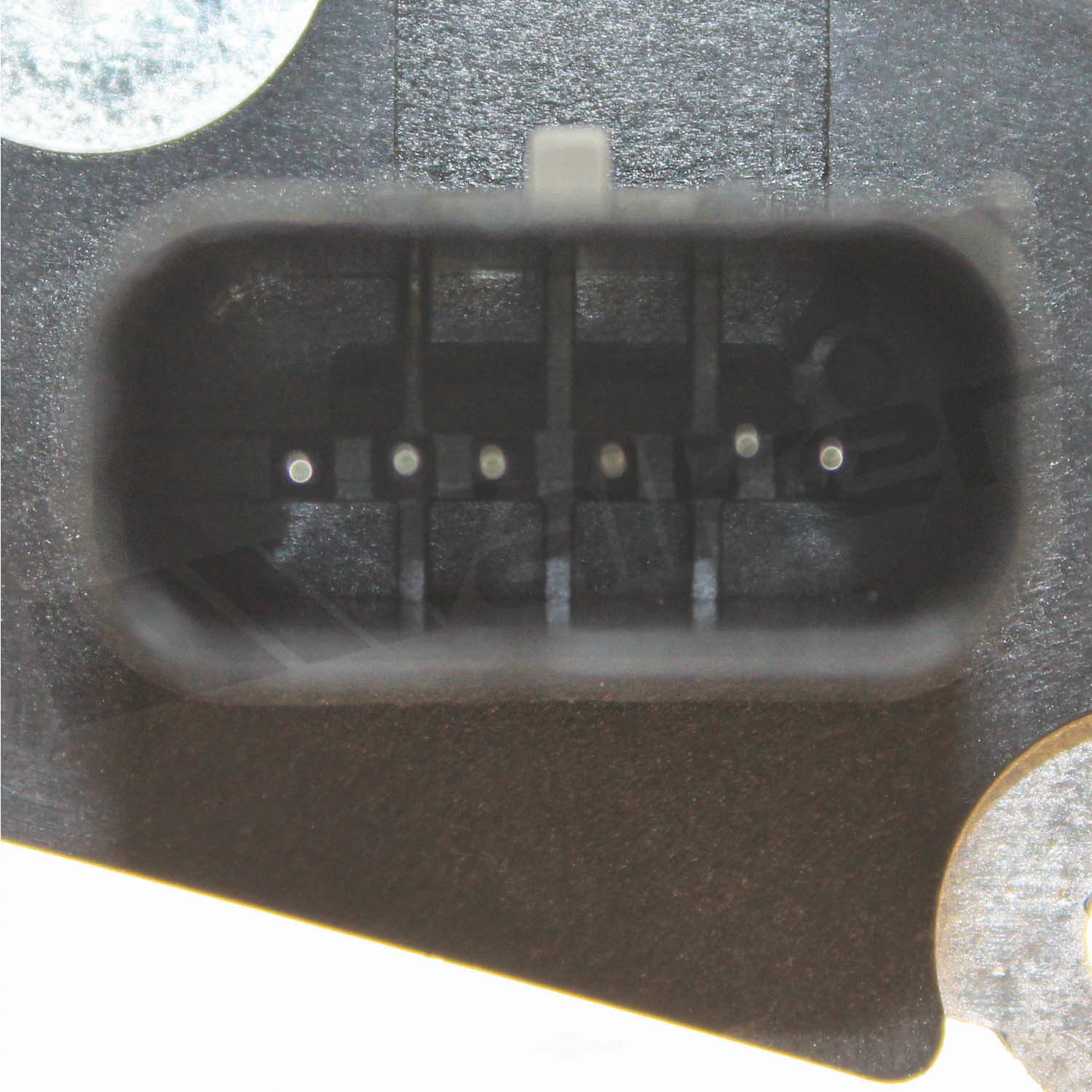 Picture 3