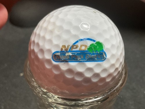 MICHIGAN P Q GOLFPLATZ: LOGOBÄLLE - Bild 52 von 64
