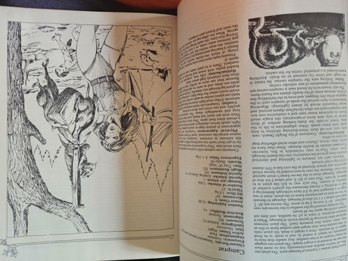 Libro AD&D Advanced Dungeon and & Dragons 1ª edición 1E Greyhawk Adventures - Imagen 6 de 9