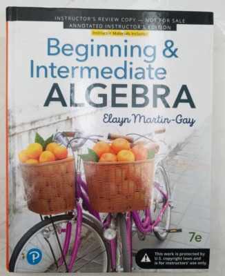 Beginning & Intermediate Algebra: Annotated Instructor's edition