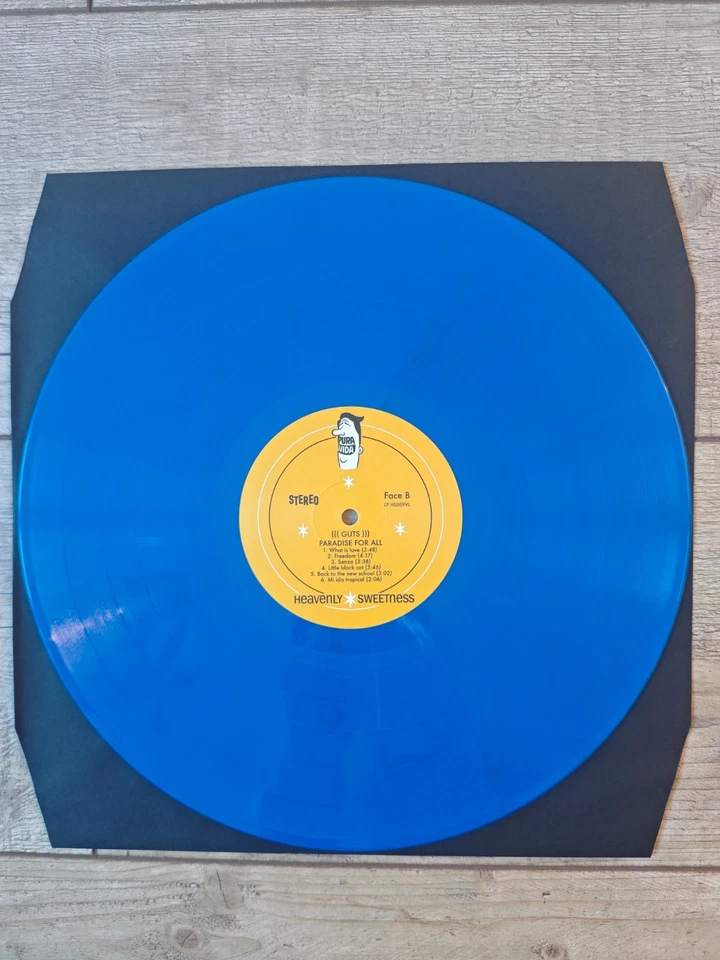 Guts ‎– Paradise For All Vinyl LP 2018 LIMITED BLUE 250 COPIES Near Mint - Bild 4 von 4