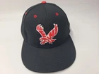 Eastern Washington University EWU Eagles The Game Pro Fitted 7 1/2 Hat Cap NCAA