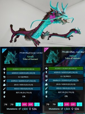 Level 362 Color Aureliax Pair Clone ARK🦕 Survival Ascended ASA