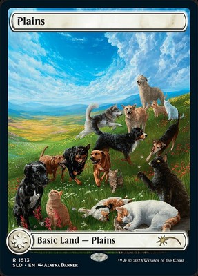 1x Plains (1513) - Foil MTG - Secret Lair - Light Play