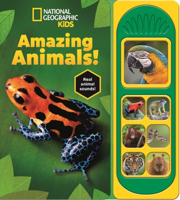 National Geographic Kids: Amazing Animals! Sound Book (Board book)