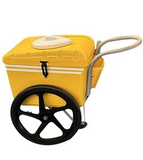 Popsicles Mobile Vendor Cart Frozen Treats Fruit Paletas Street Cart Cooler Cart