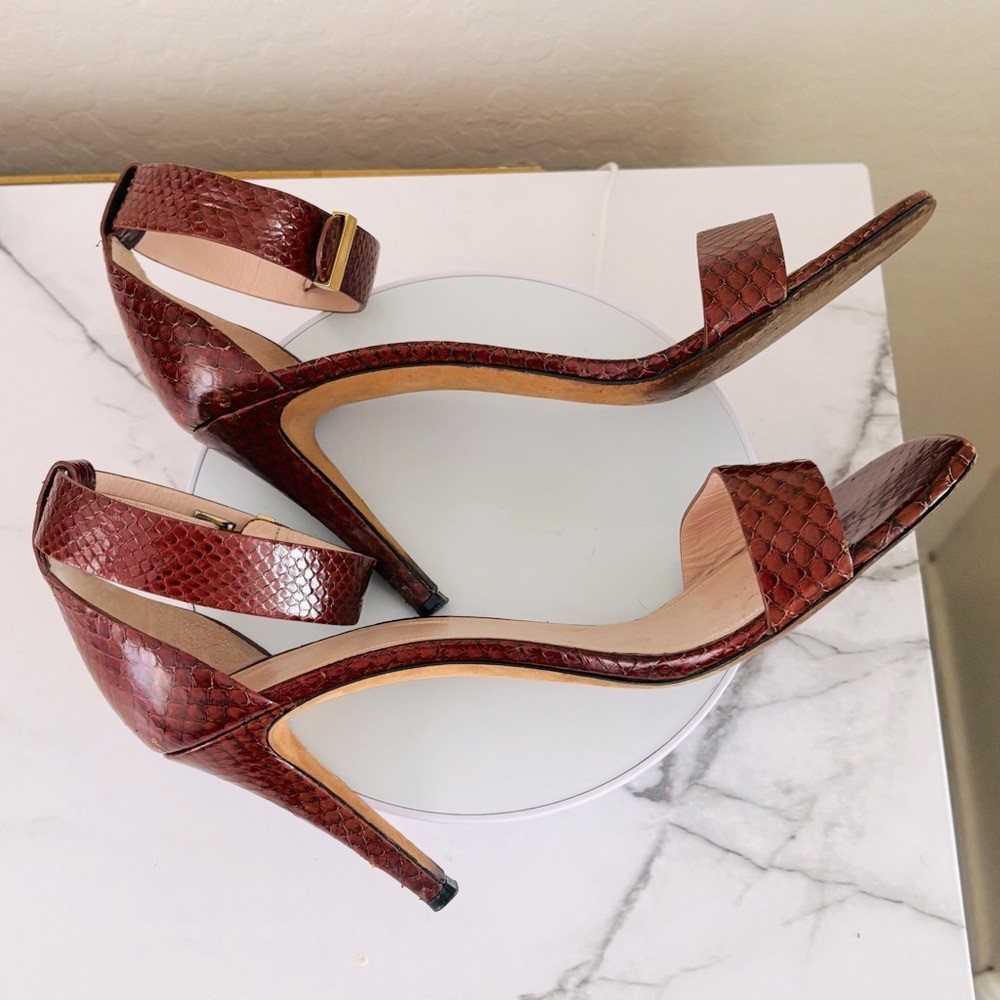 Authentic Celine Embossed Python Brown / Burgandy… - image 11