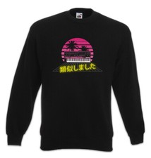 Felpa Sintetizzatore Analogico Pullover ADSR Audio Wave Sound DJ MC Electro anni 90