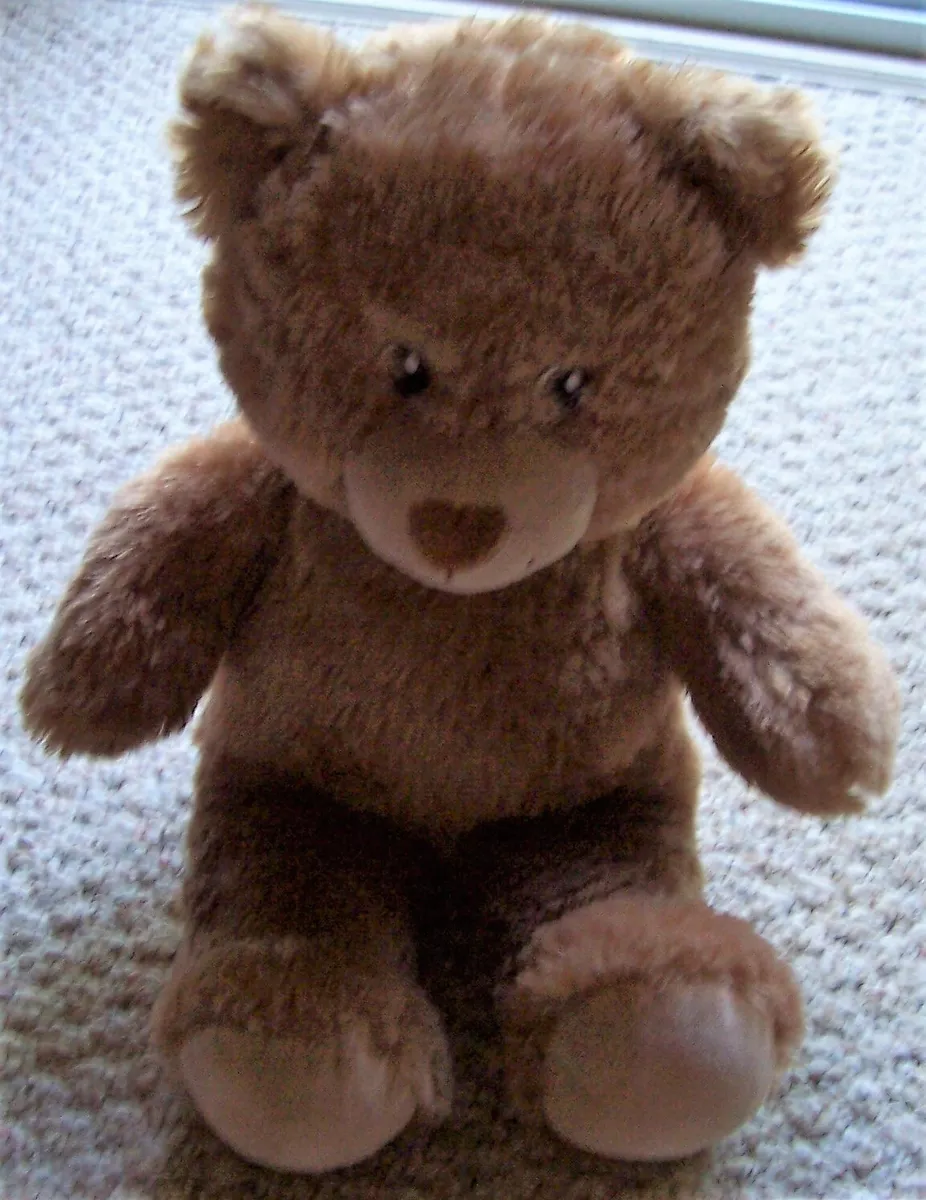 Teddy bear hotsell eyes for sale