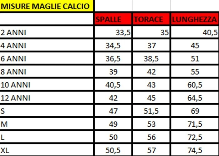 MAGLIA ITALIA VERRATTI 6 PRODOTTO UFFICIALE STAGIONE 2024 - Immagine 2 di 2