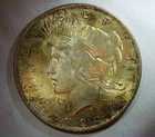 U.S. Circulated Silver Dollars Mixed Morgan and Peace Nine (9) Pieces