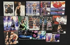 Twenty (20) Card 2024 Panini Photogenic WWE Lot Triple H Carmella Lyons Gigi