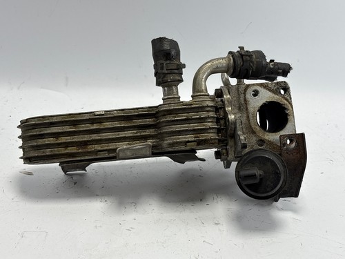 Abgaskühler SEAT Leon (1P) 038131513AD