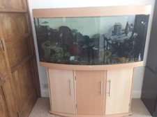 juwel fish tanj Aquarium