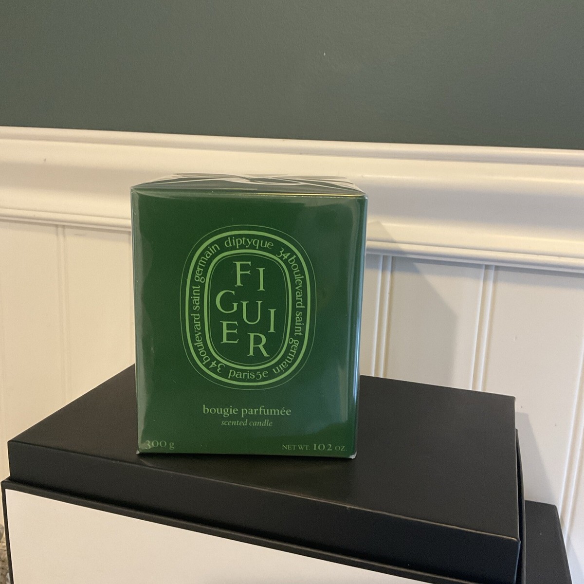 diptyque Figuier Scented Green Colored Candle 300g /10.2 Oz
