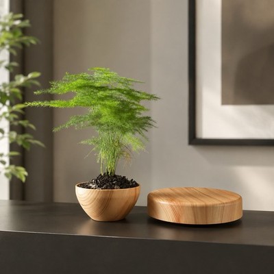 Magnetic Levitating Plant Pot 360° Rotating Floating Planter Wooden Base Decor